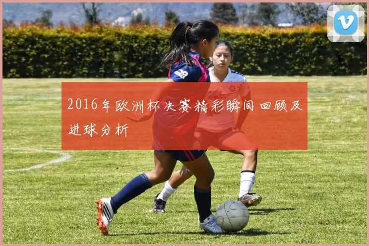 2016年欧洲杯决赛精彩瞬间回顾及进球分析