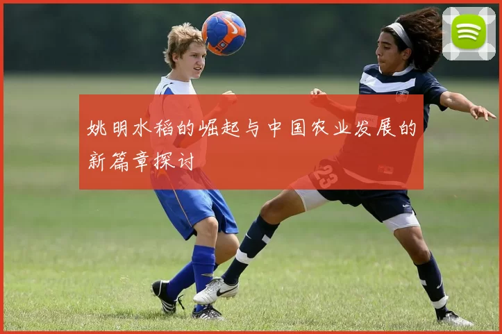 姚明水稻的崛起与中国农业发展的新篇章探讨